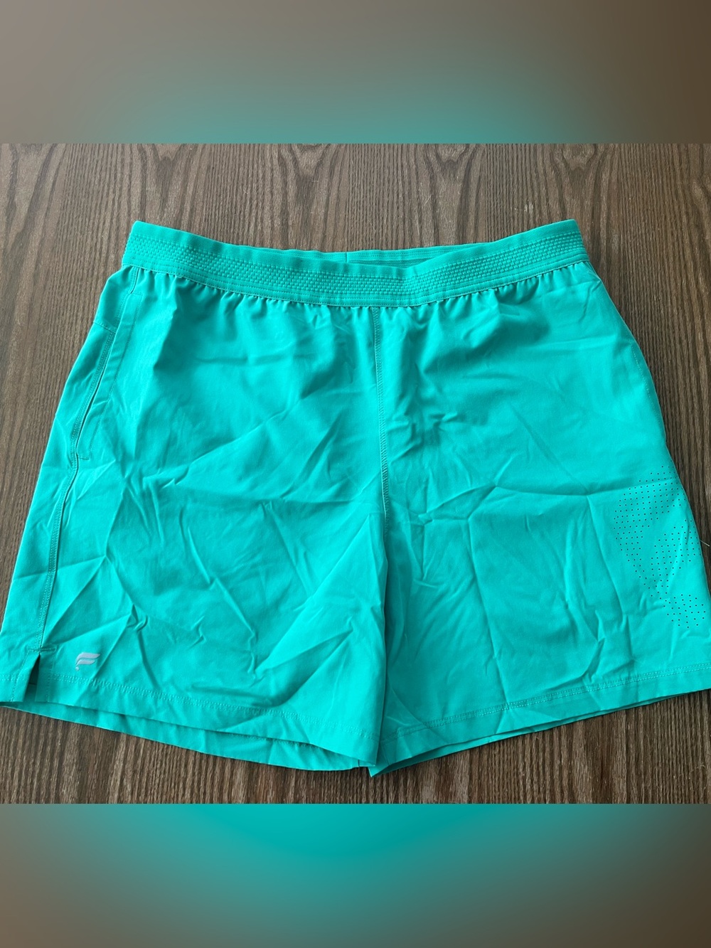 Fabletics Men's Athletic Shorts in Teal size Large